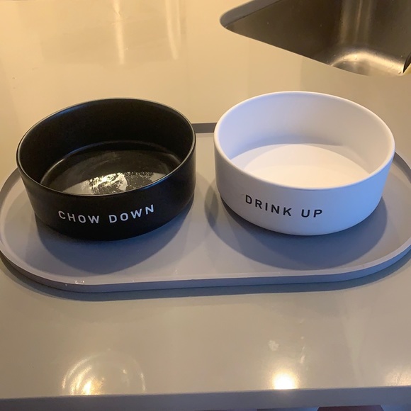 Set of Dog Bowls & Mat